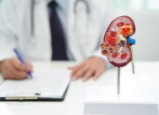 Tekanan Darah Tinggi Dapat Rusak Ginjal Tanpa Disadari