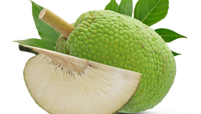 Hati-hati! Orang dengan Kondisi Ini Sebaiknya Hindari Sukun