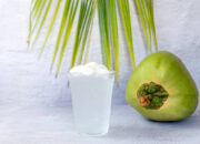 Manfaat Minum Air Kelapa Setiap Hari untuk Kesehatan