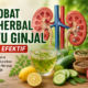 8 Obat Herbal Batu Ginjal