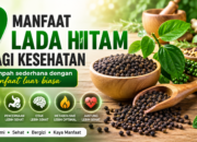 Manfaat Lada Hitam bagi Kesehatan