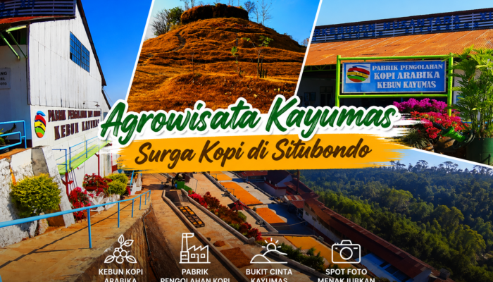 Agrowisata Kayumas Situbondo, Surga Kopi di Lereng Pegunungan