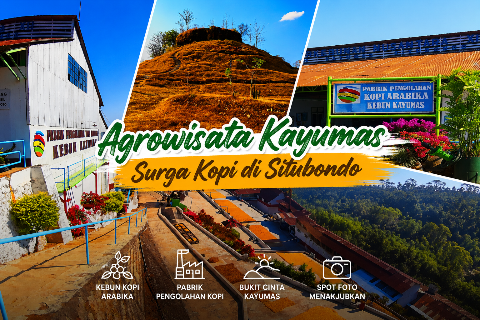 Agrowisata Kayumas Situbondo