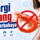 Alergi Udang