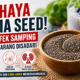 Bahaya Chia Seed