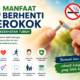 Berhenti merokok