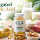 Conjugated Linoleic Acid (CLA)