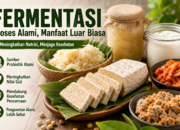 Fermentasi Adalah: Manfaat, Proses, dan Keamanan Konsumsinya