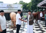 Idul Adha 2026, Polda Jatim Bagikan 127 Sapi dan 22 Kambing