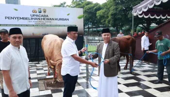 Idul Adha 2026, Polda Jatim Bagikan 127 Sapi dan 22 Kambing