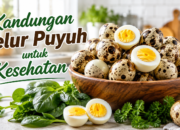 7 Kandungan Telur Puyuh yang Jarang Diketahui