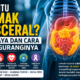 Bahaya Lemak Visceral