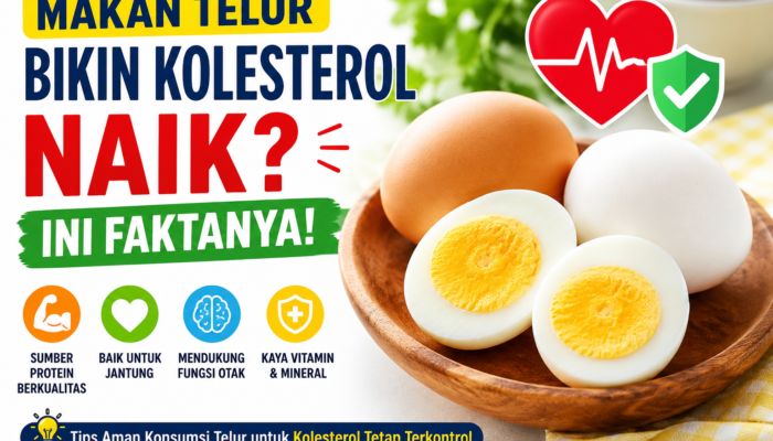 Makan Telur Bikin Kolesterol Naik? Ini Faktanya