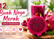 12 Manfaat Buah Naga Merah untuk Kesehatan Tubuh