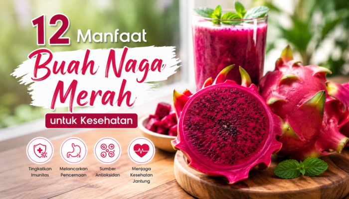 12 Manfaat Buah Naga Merah untuk Kesehatan Tubuh