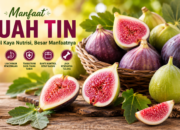 Manfaat Buah Tin untuk Kesehatan dan Kandungan Nutrisinya