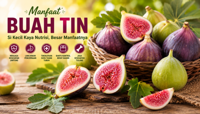 Manfaat Buah Tin untuk Kesehatan dan Kandungan Nutrisinya