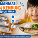 Manfaat Ikan Kembung