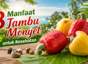 8 Manfaat Jambu Monyet untuk Kesehatan dan Kandungan Nutrisinya