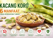 Manfaat Kacang Koro untuk Kesehatan, Nutrisi Lokal yang Mulai Dilirik