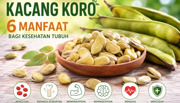 Manfaat Kacang Koro untuk Kesehatan, Nutrisi Lokal yang Mulai Dilirik
