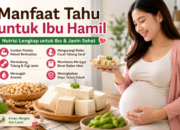 7 Manfaat Tahu untuk Ibu Hamil dan Janin Sehat
