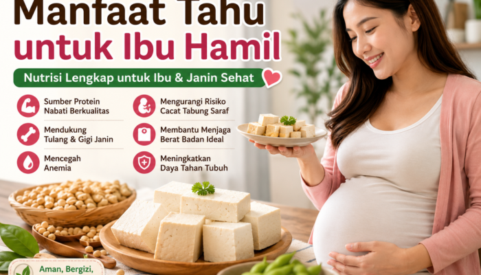 7 Manfaat Tahu untuk Ibu Hamil dan Janin Sehat
