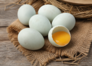 Manfaat Telur Bebek untuk Kesehatan Tubuh