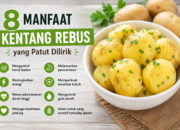 8 Manfaat Kentang Rebus untuk Kesehatan dan Diet Sehat