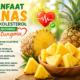 Manfaat nanas untuk kolesterol