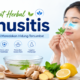 Obat Herbal Sinusitis