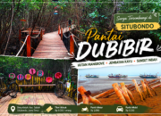 Pantai Dubibir Situbondo, Surga Senja dan Mangrove