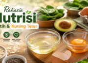 Rahasia Nutrisi Putih dan Kuning Telur untuk Kesehatan