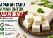 Apakah Tahu Aman untuk Asam Urat? Ini Penjelasannya