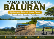 Taman Nasional Baluran, Surga Savana Eksotis di Jawa Timur