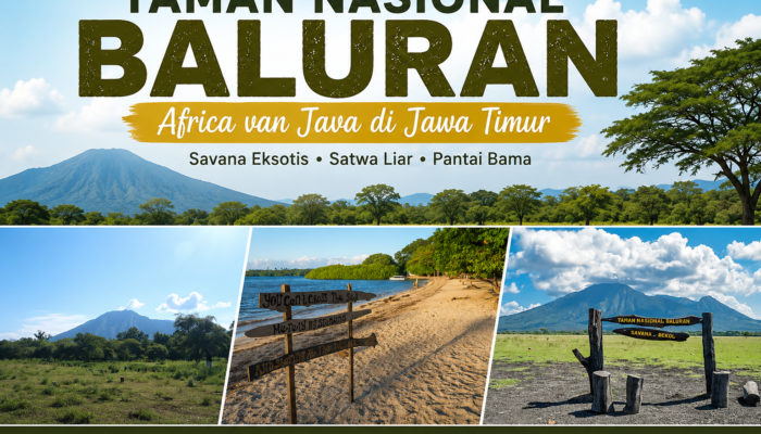 Taman Nasional Baluran, Surga Savana Eksotis di Jawa Timur