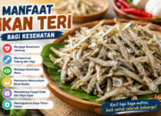 Manfaat Ikan Teri bagi Kesehatan yang Jarang Disadari