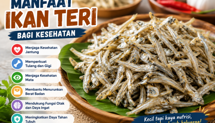 Manfaat Ikan Teri bagi Kesehatan yang Jarang Disadari