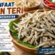 manfaat ikan teri