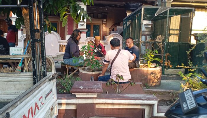 Ranting Mangga Jadi Polemik di Mimbaan Situbondo, DLH Diminta Utamakan Komunikasi: Kayu Itu Untuk Dapur Pondok, Bukan Sekadar Limbah